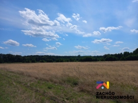 Działki w Zaborze z widokiem na łąki na sprzedaż